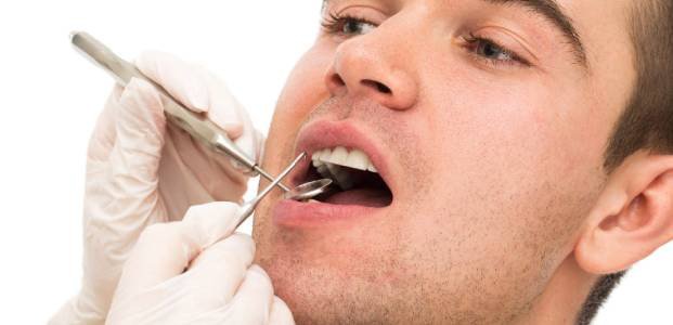 Dentist Performing Dental Check-up – Elite Dental Inverness FL
